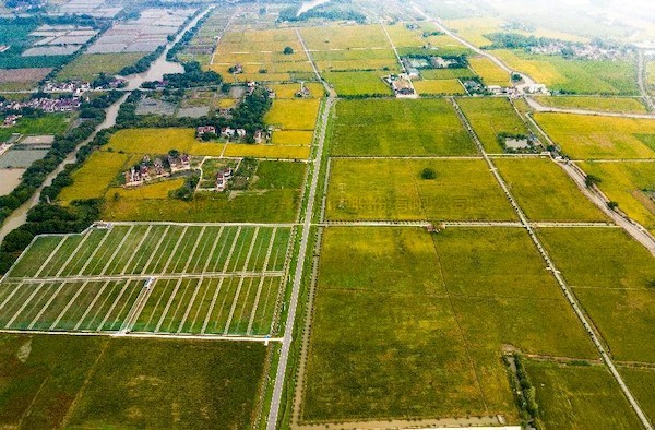 高標案例丨托普云農(nóng)助力善璉鎮(zhèn)農(nóng)田“數(shù)智”升級